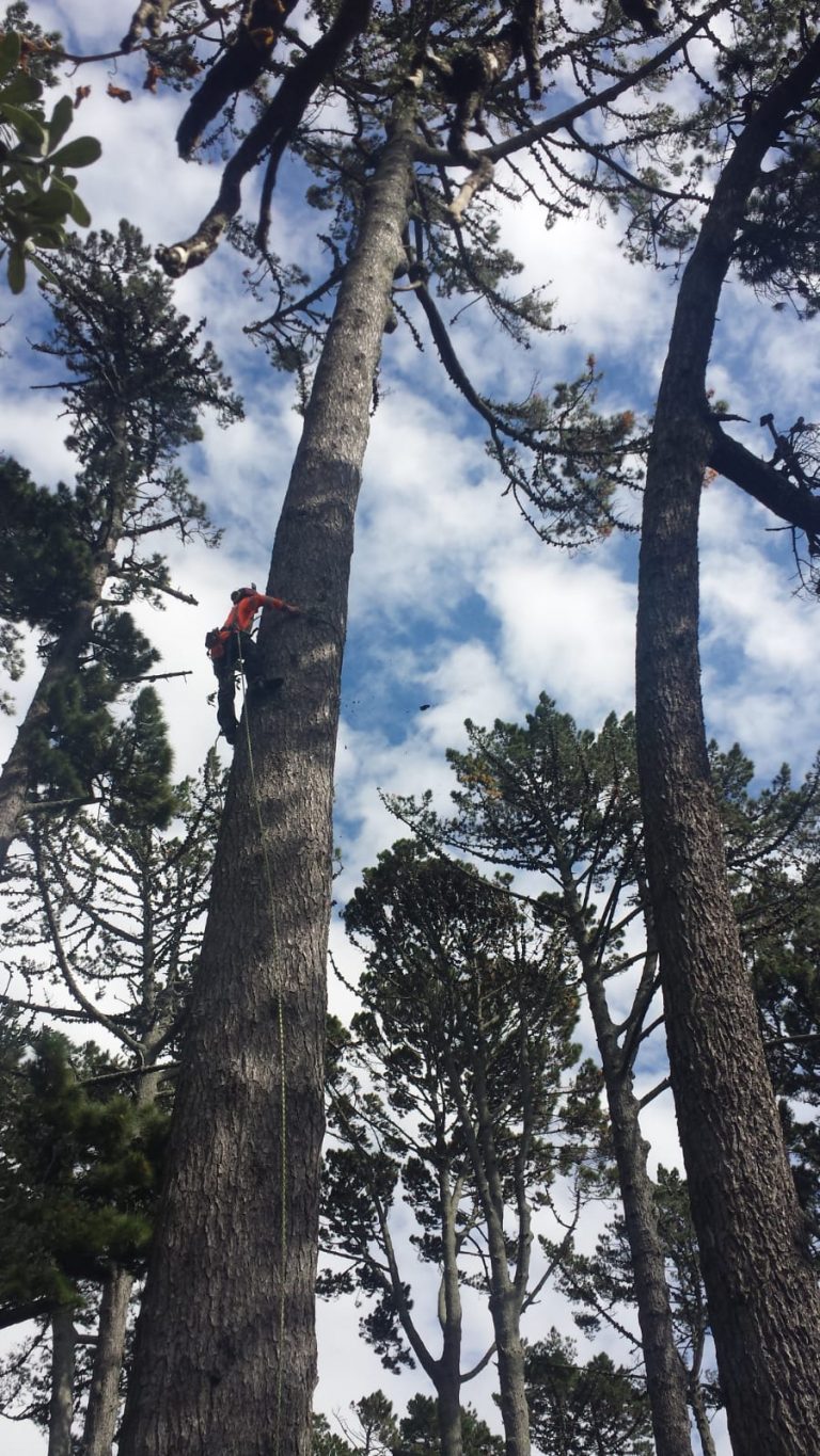 IMG-20210418-WA0020 (1)