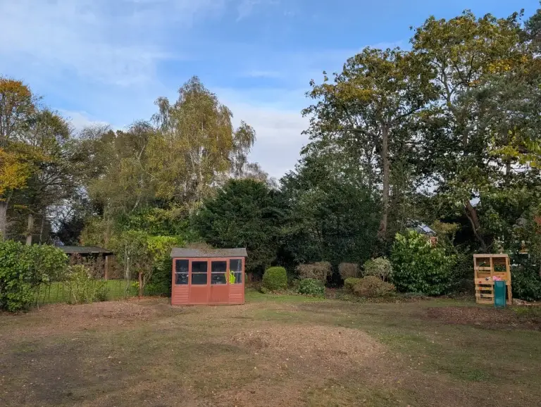 After: tree removed, garden opened up
