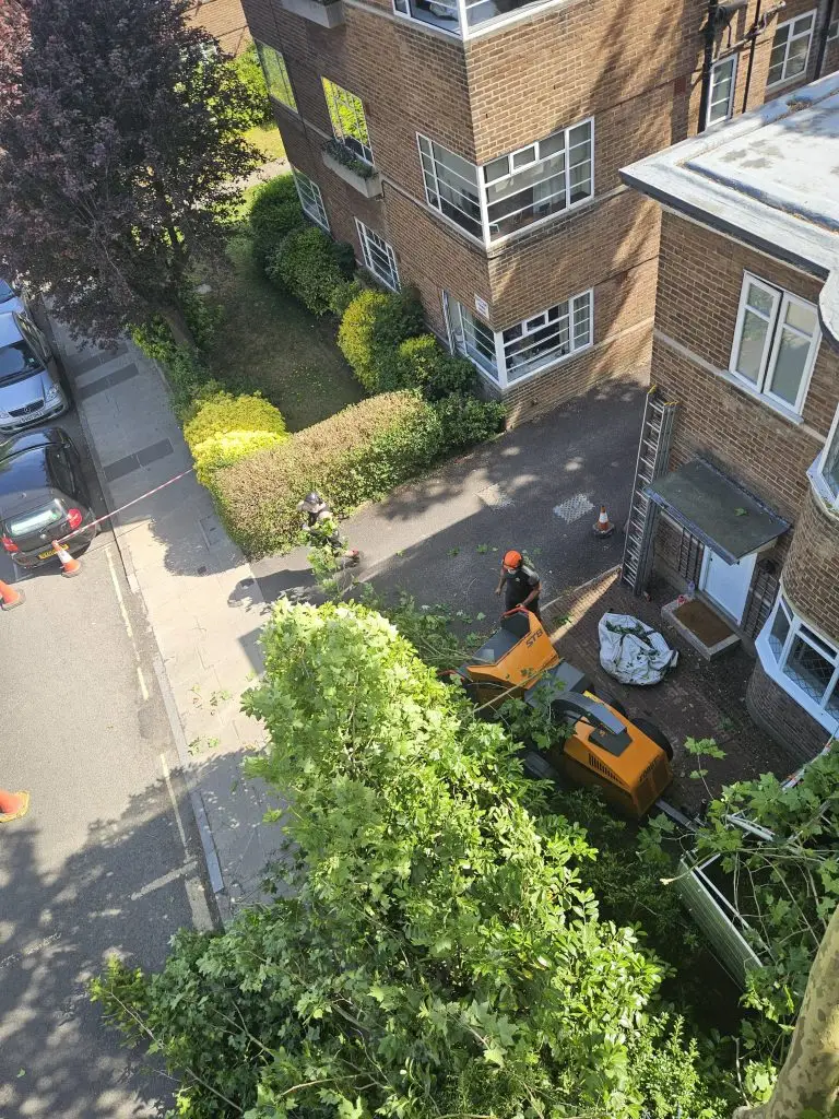 How to check – Treemedic Ltd