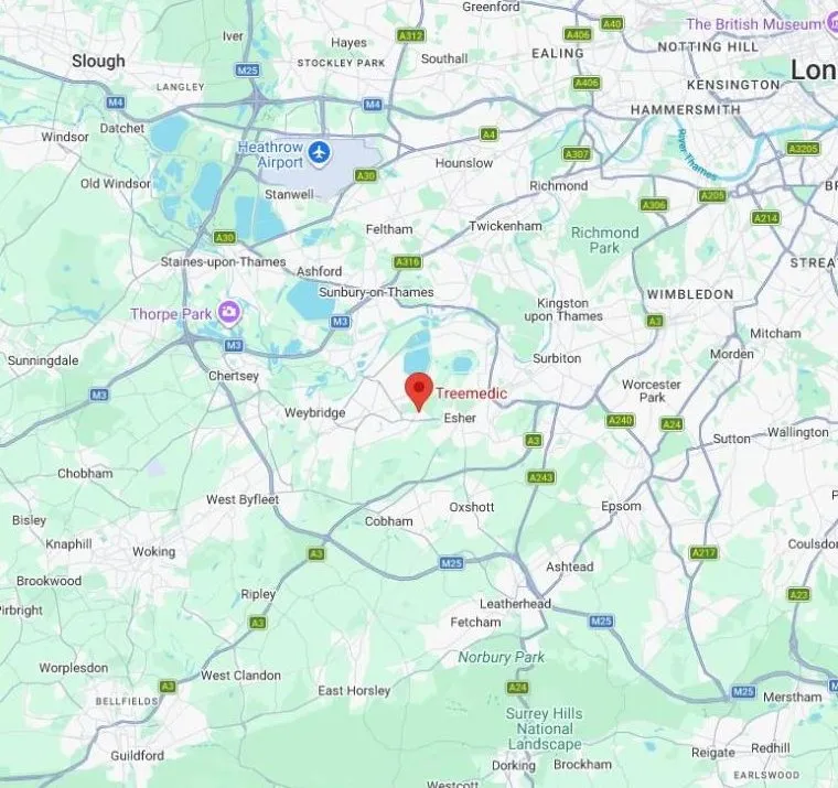 Map of Surrey and South West London showing where Treemedic is based in Hersham